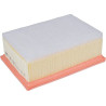 Filtre à air MANN-FILTER C251172