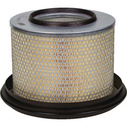 Filtre à air MANN-FILTER C275853