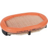 Filtre à air MANN-FILTER CF2125
