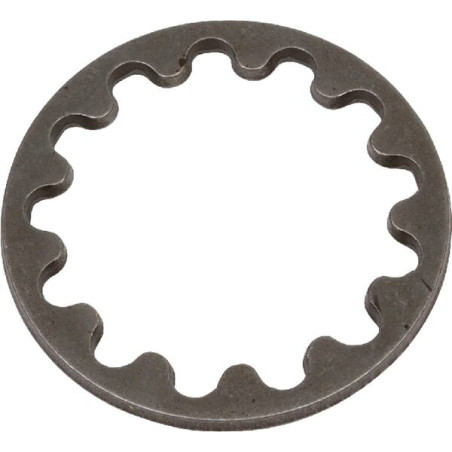 Rondelle de pression CARRARO CI140023