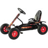Kart pour enfants DINO CARS DC37200BF1