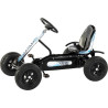 Kart pour enfants DINO CARS DC37210BF1