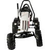 Kart pour enfants DINO CARS DC66980BF3