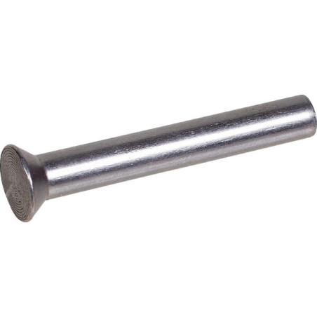 Rivet AMAZONE DH123