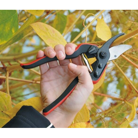 Sécateur FELCO ES88160L