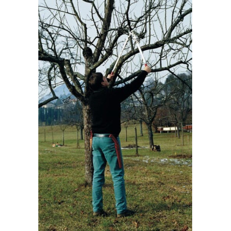 Coupe-branches FELCO ES8822