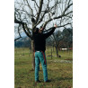 Coupe-branches FELCO ES8822