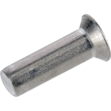 Rivet MASCHIO F02250521RDO