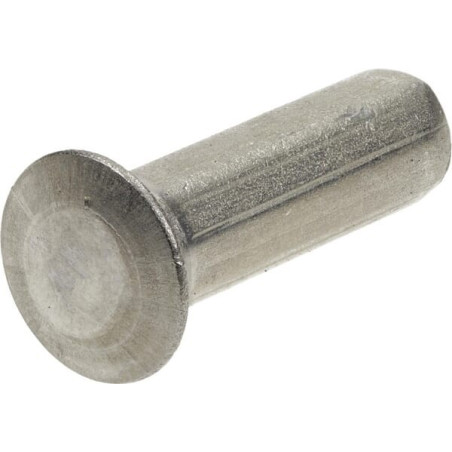 Rivet MASCHIO F02250521RDO