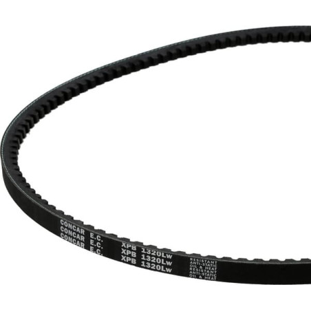 Courroie MASCHIO F06010039R