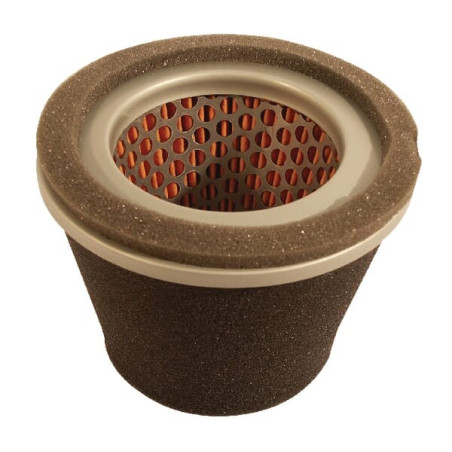 Filtre à air HIFI-FILTER FGP011787