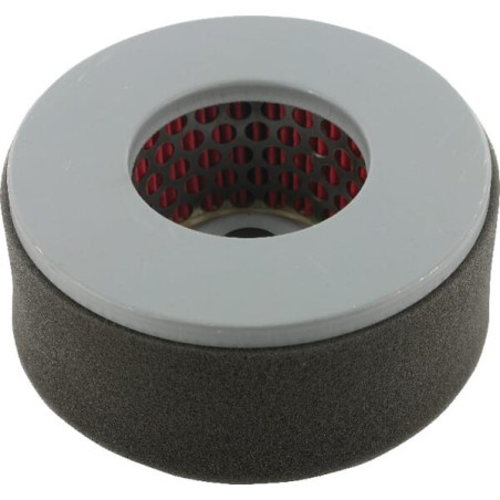 Filtre à air ALPINA FGP013786