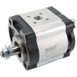 Pompe hydraulique GOPART G231941010010N