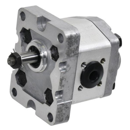 Pompe à engrenages GOPART GP101D3030C18EGP