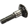 Pignon KUHN K8805850