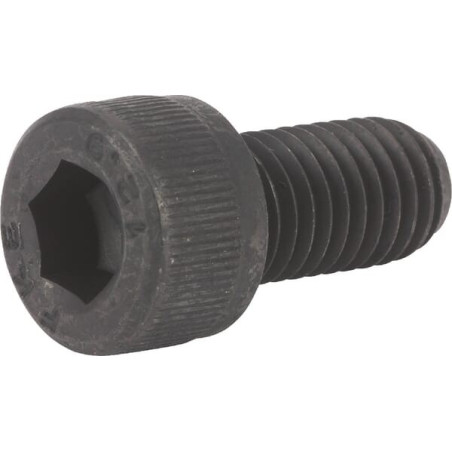 Vis KVERNELAND KG00595600