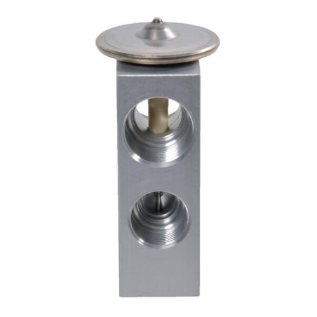 Clapet ALPINA KL050017