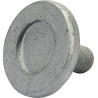 Boulon KVERNELAND - TAARUP KT5518200061
