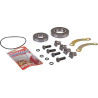 Kit roulement KVERNELAND - TAARUP KT55994000
