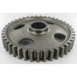 Pignon MASCHIO M36100306R