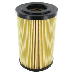 Filtre Transmission MP-FILTRI MF4002P25NB