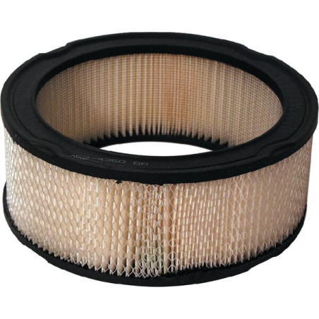 Filtre à air DONALDSON P524350