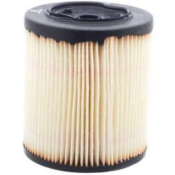 Filtre à carburant DONALDSON P552044