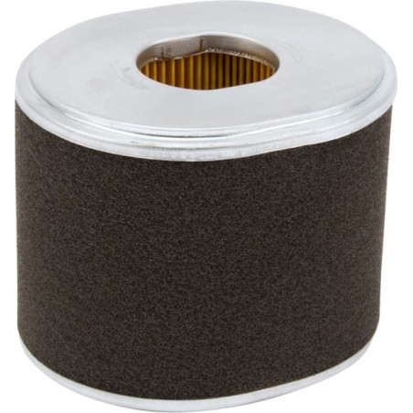Filtre à air DONALDSON P607254GJ