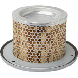 Filtre à air DONALDSON P783449