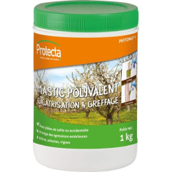 Mastic PROTECTA PVCIC01011