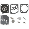 Kit carburateur GOPART RB50GP