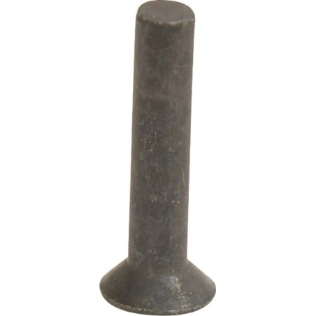 Rivet KVERNELAND - RAU RF01753