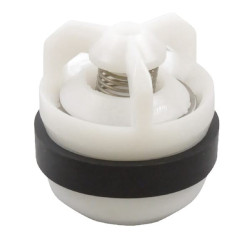 Soupape KVERNELAND - RAU RG00002714
