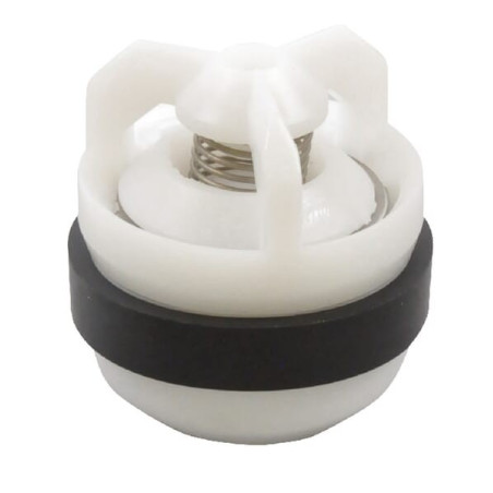Soupape KVERNELAND - RAU RG00002714