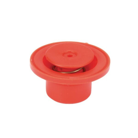 Soupape KVERNELAND - RAU RG00058212