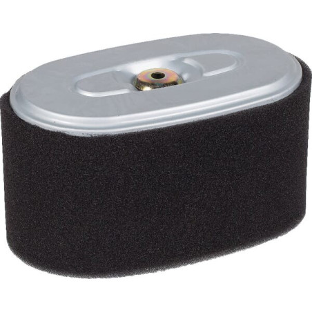 Filtre à air HIFI-FILTER SA12381