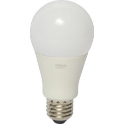 Ampoule LED OSRAM SMBTA60D