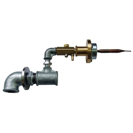Arrivée d'eau antigel SUEVIA SU1310521