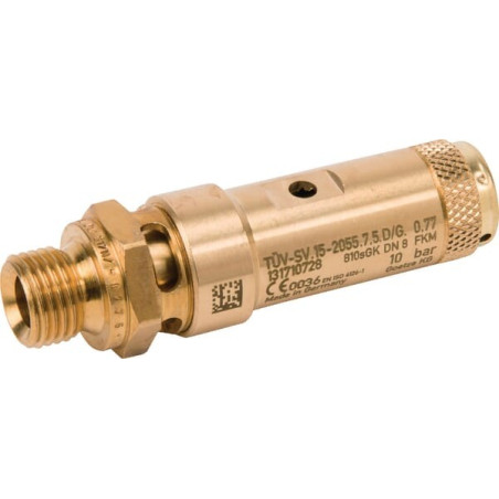 Soupape de sécurité UNIVERSEL SV2122G04M10B