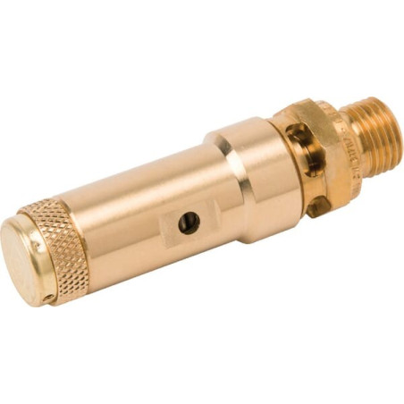 Soupape de sécurité UNIVERSEL SV2122G04M12B