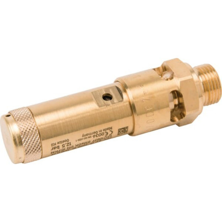 Soupape de sécurité UNIVERSEL SV2122G06M125B