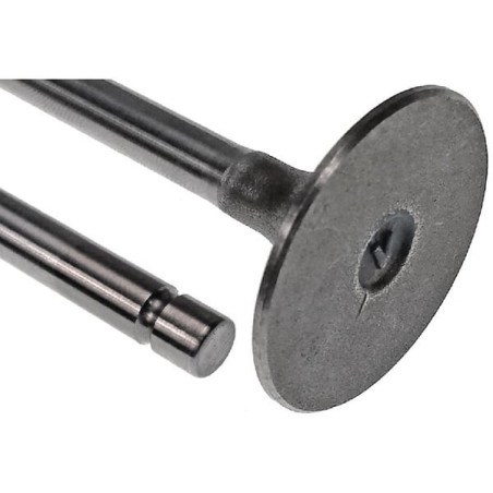 Soupape d'échappement VAPORMATIC VPA1019