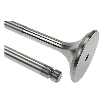 Soupape d'échappement VAPORMATIC VPA1024