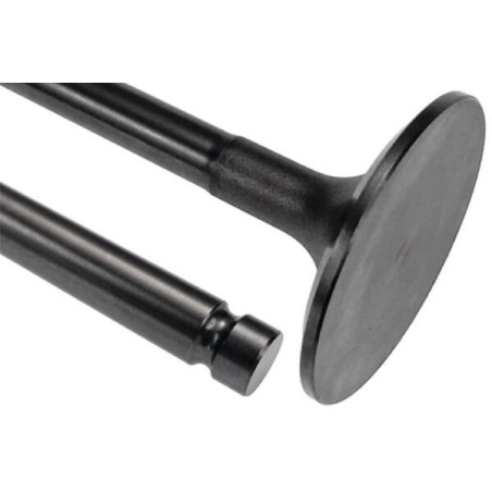 Soupape d'admission VAPORMATIC VPA1034