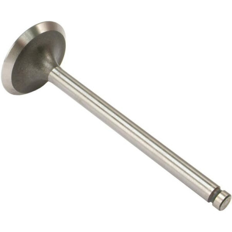Soupape d'admission VAPORMATIC VPA1050