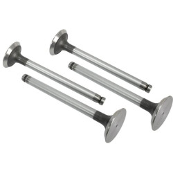 Soupape d'échappement VAPORMATIC VPA1110