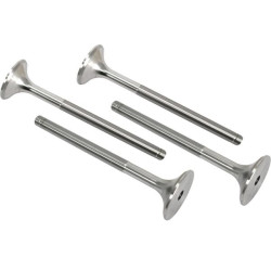 Soupape d'échappement VAPORMATIC VPA1210