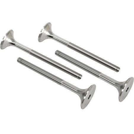 Soupape d'échappement VAPORMATIC VPA1210