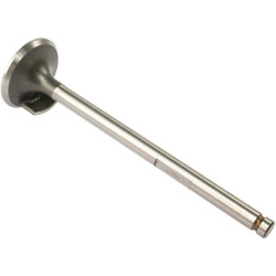 Soupape d'admission VAPORMATIC VPA1230