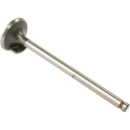 Soupape d'admission VAPORMATIC VPA1230